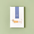 https://bellatest.sm.mncdn.org/mnresize/112/112/media/catalog/product/8/6/8681790121469_1_1_2.jpg